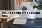 广东小伙来东北打麻将（广东小伙来东北打麻将被抓）