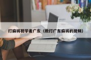 打麻将初学者广东（教打广东麻将的视频）