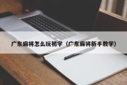 广东麻将怎么玩初学（广东麻将新手教学）
