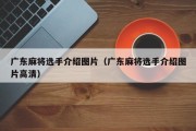 广东麻将选手介绍图片（广东麻将选手介绍图片高清）
