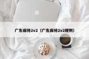 广东麻将2v2（广东麻将2v2规则）