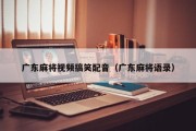 广东麻将视频搞笑配音（广东麻将语录）