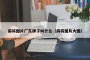 麻将图片广东牌子叫什么（麻将图片大图）