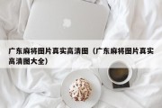广东麻将图片真实高清图（广东麻将图片真实高清图大全）