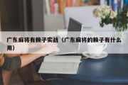 广东麻将有赖子实战（广东麻将的赖子有什么用）