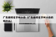 广东麻将名字叫小白（广东麻将名字叫小白的叫什么）