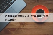 广东麻将12张照片大全（广东麻将100张玩法介绍）