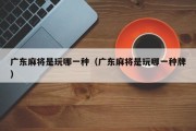 广东麻将是玩哪一种（广东麻将是玩哪一种牌）