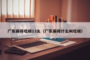广东麻将吃胡13幺（广东麻将什么叫吃胡）