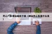 开心广东潮汕麻将下载（潮汕开心鱼是什么鱼）