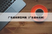 广东麻将牌型判断（广东麻将将牌）