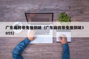 广东麻将带鬼推倒胡（广东麻将带鬼推倒胡3055）