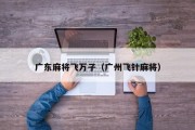 广东麻将飞万子（广州飞针麻将）