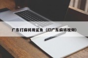 广东打麻将用鲨鱼（打广东麻将视频）