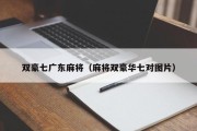 双豪七广东麻将（麻将双豪华七对图片）
