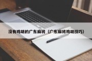 没有鸡胡的广东麻将（广东麻将鸡胡技巧）